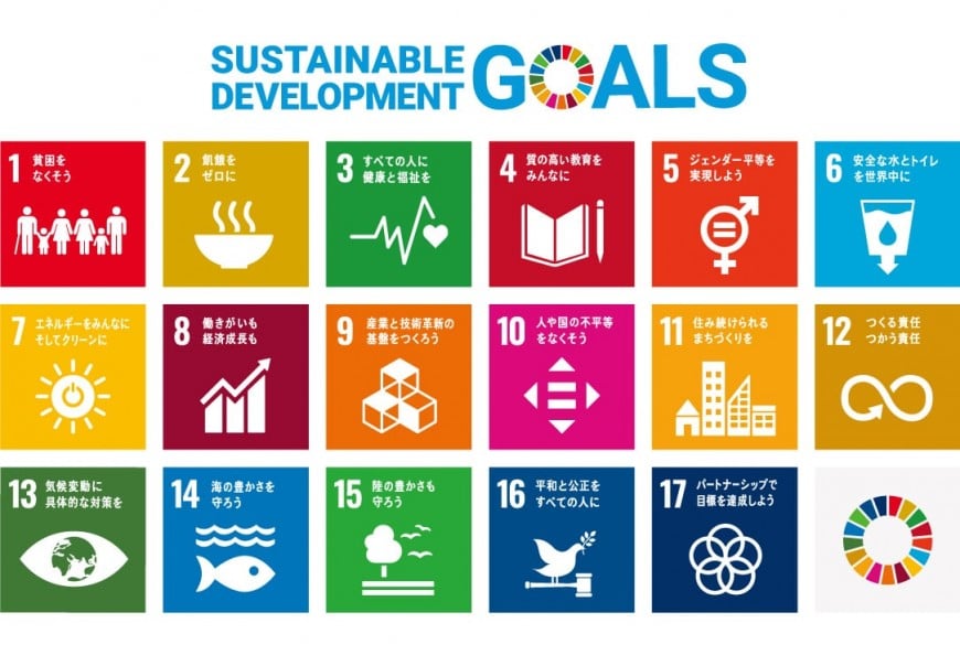 17可持续的开发目标"SDGs"